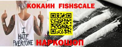дмт Гатчина