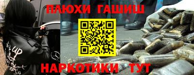 дмт Гатчина