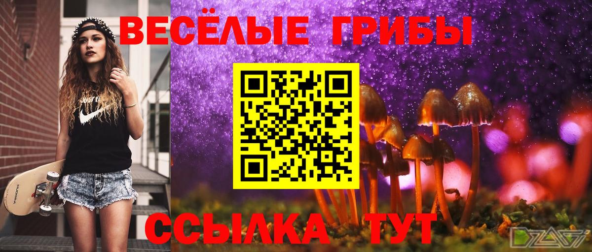 Псилоцибиновые грибы GOLDEN TEACHER  Вход с VPN  Кореновск 